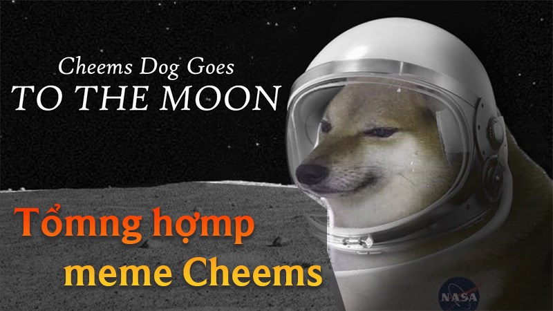 Meme Cheems là gì và nguồn gốc, ý nghĩa, các meme hài hước?