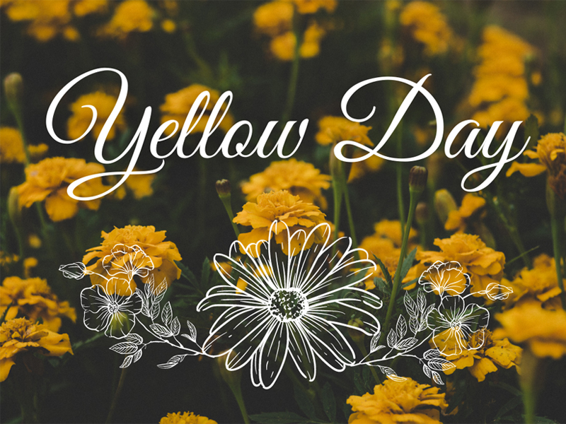 Ý nghĩa đặc biệt của ngày 14 hàng tháng tại Hàn Quốc mà bạn nên biết