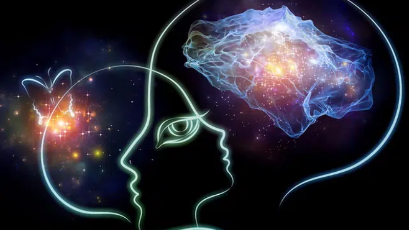 Ý nghĩa thần số học số 7: Đơn độc, chiêm nghiệm, giàu tri thức