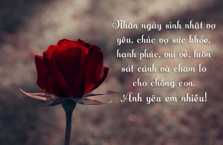 Lời chúc sinh nhật hay và ý nghĩa dành tặng người yêu thương