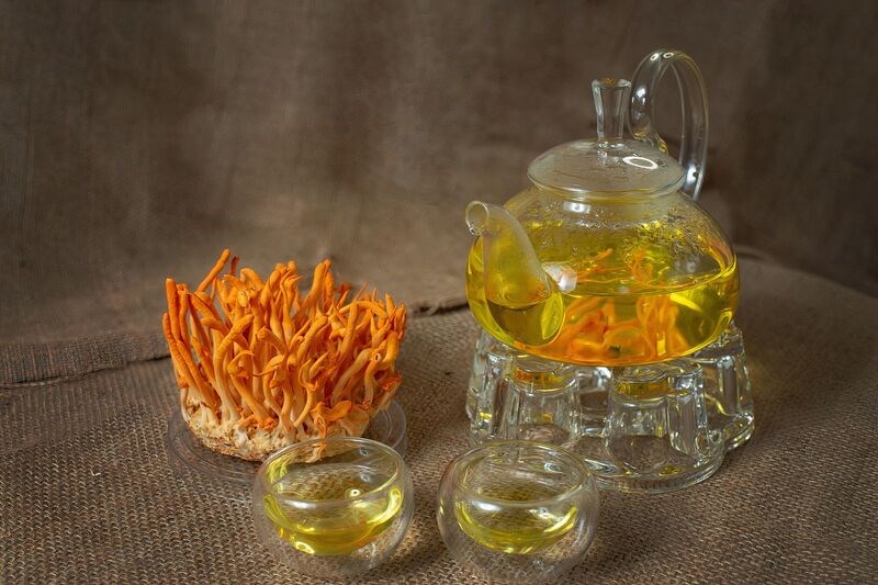 Đông trùng hạ thảo là gì và sự thật về loại thần dược này?