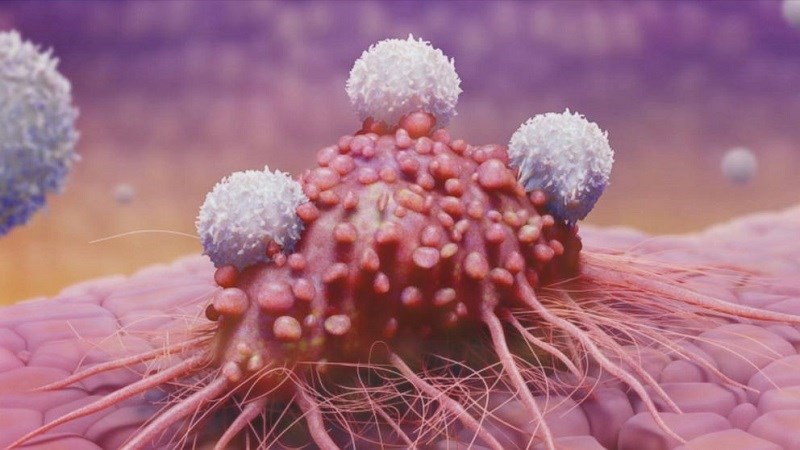 Đông trùng hạ thảo là gì và sự thật về loại thần dược này?