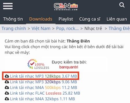 Cách tải nhạc trực tiếp trên iPhone, iPad về máy nhanh gọn, chất lượng cao