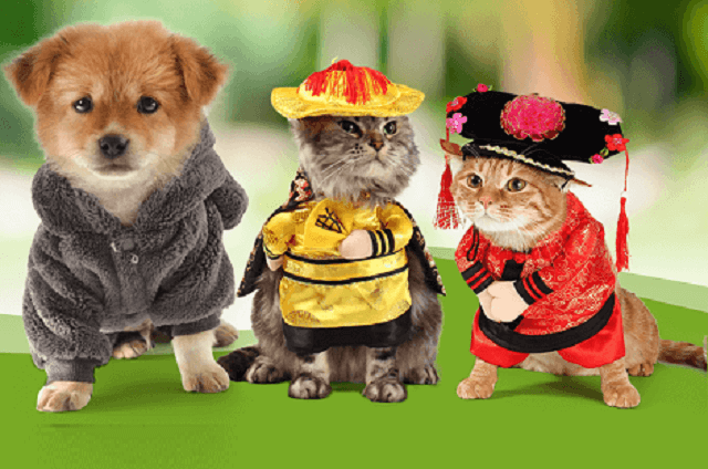 Con sen là gì? Ý nghĩa của từ con sen được dân mạng hay dùng