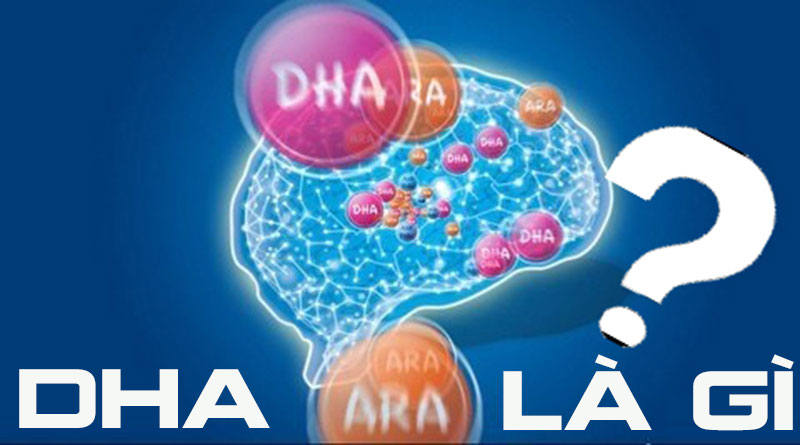 DHA Là Gì? Tìm Hiểu Về DHA Là Gì?
