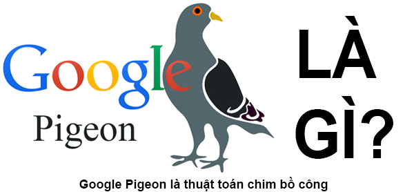 Google Pigeon là gì và tầm ảnh hưởng của thuật toán này?