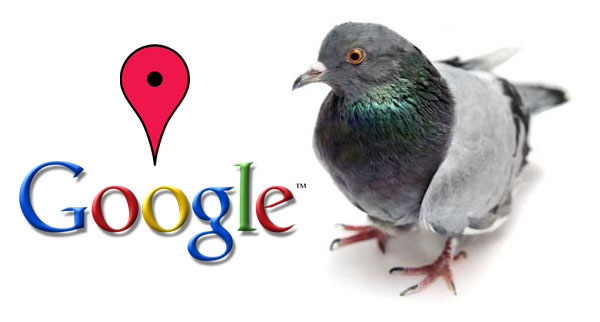 Google Pigeon là gì và tầm ảnh hưởng của thuật toán này?