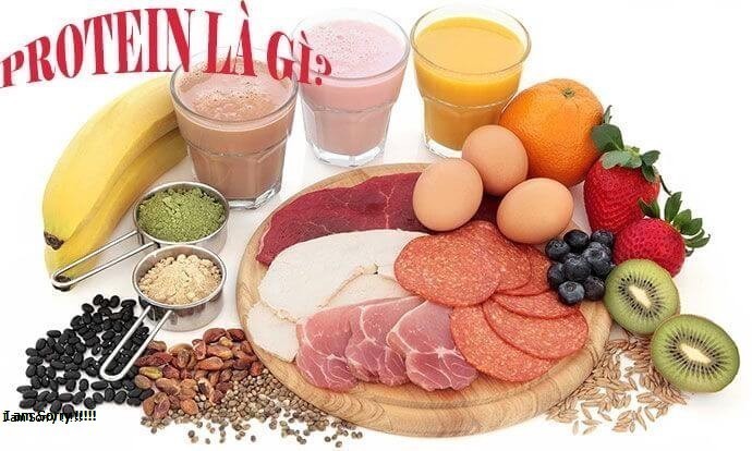 Protein Là Gì? Tìm Hiểu Về Protein Là Gì?
