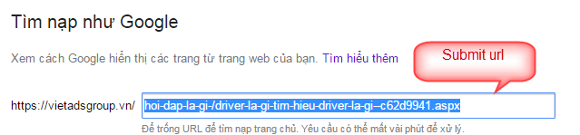 Submit URL Google là gì? Cách khai báo Website với Google?