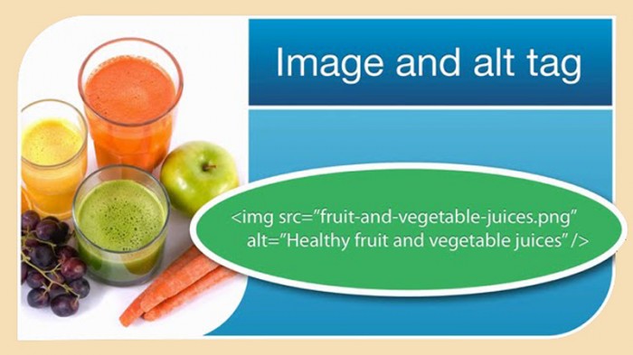 Alt Text Là Gì? Alt  Tìm Hiểu Text Là Gì?