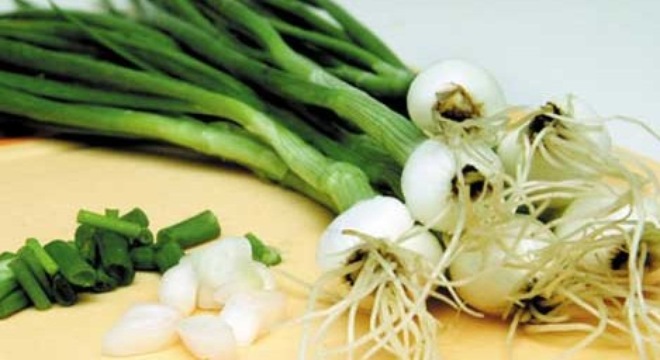 Ăn hành là gì? Ý nghĩa của thuật ngữ Ăn hành?