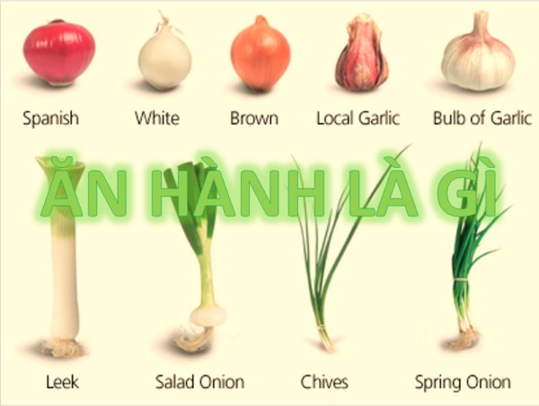 Ăn hành là gì? Ý nghĩa của thuật ngữ Ăn hành?