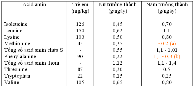 Axit Amin Là Gì? Tìm Hiểu Về Axit Amin Là Gì?