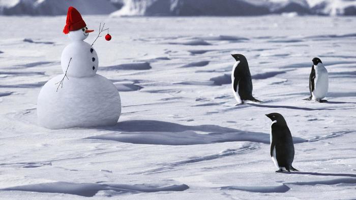 Bắc Cực Là Gì? Tìm Hiểu Về Bắc Cực Là Gì?