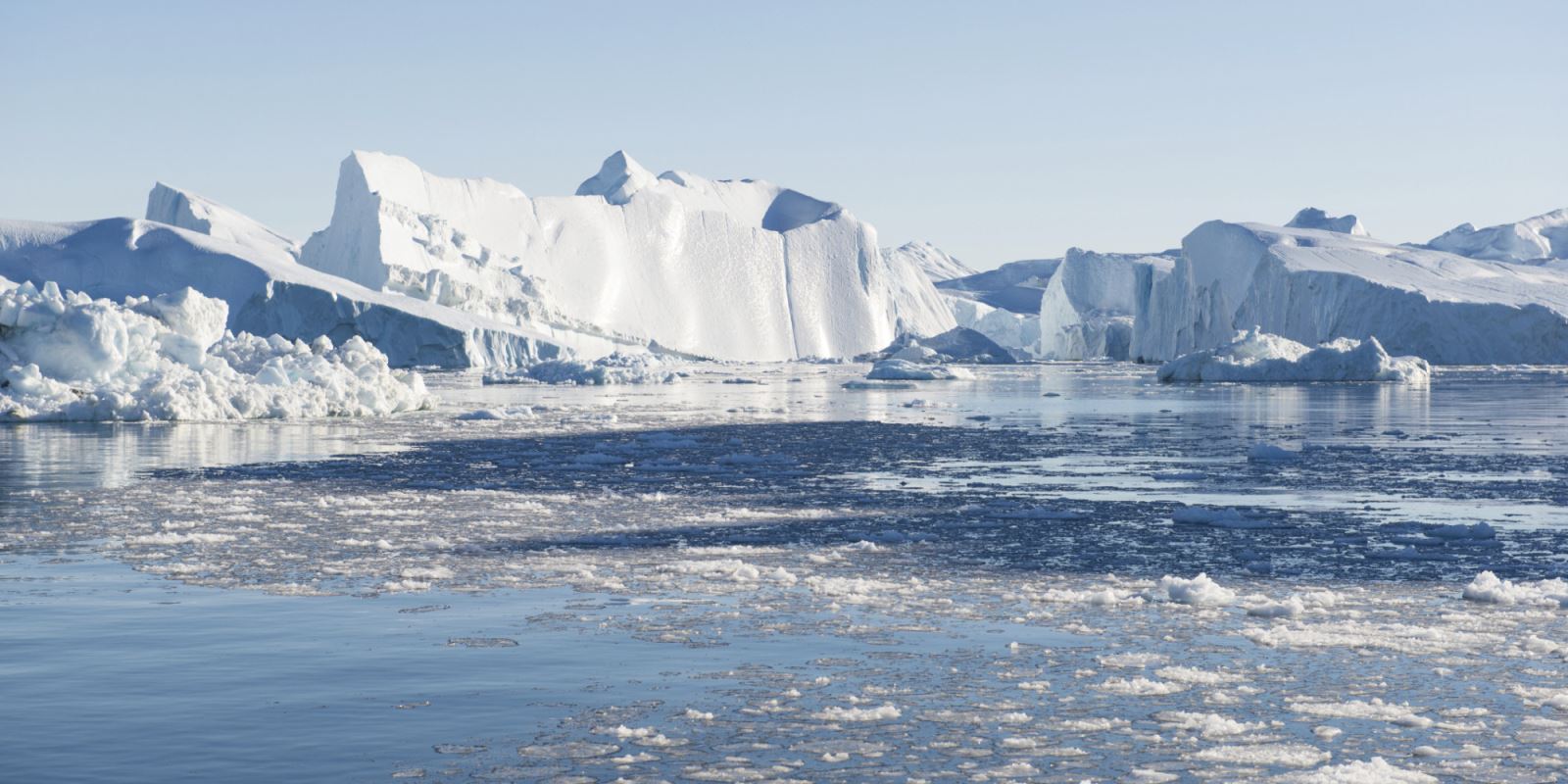 Bắc Cực Là Gì? Tìm Hiểu Về Bắc Cực Là Gì?