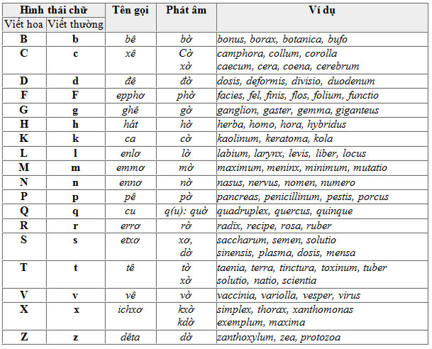 Những tiện ích của bảng chữ cái LATINH là gì?