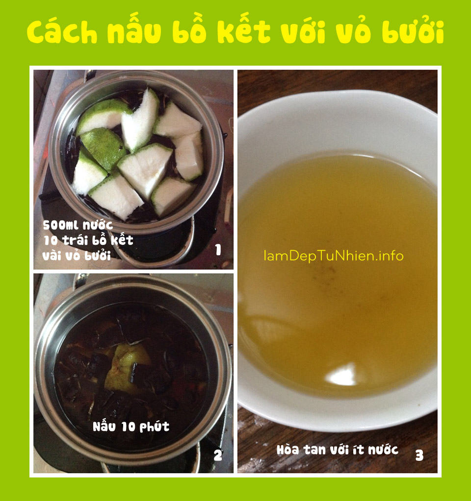 Bồ Kết Là Gì? Tìm Hiểu Về Bồ Kết Là Gì?