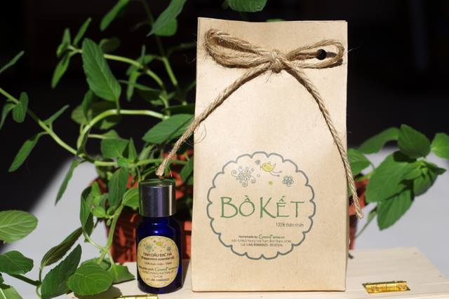 Bồ Kết Là Gì? Tìm Hiểu Về Bồ Kết Là Gì?