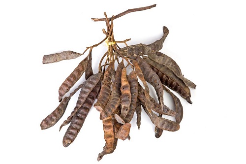 Bồ Kết Là Gì? Tìm Hiểu Về Bồ Kết Là Gì?