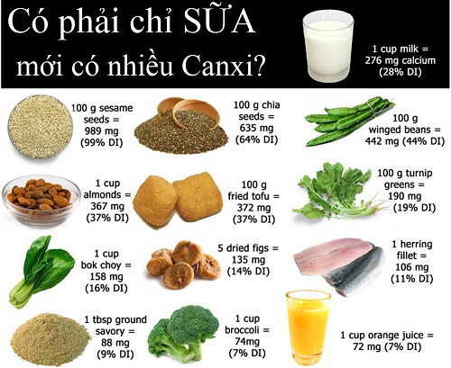Canxi là gì và những công dụng chính của canxi như thế nào?
