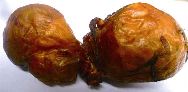 Cát lợn là gì? Tác dụng của Cát lợn có thể bạn chưa biết?