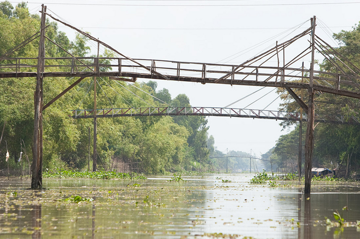 Cầu Khỉ Là Gì? Tìm Hiểu Về Cầu Khỉ Là Gì?