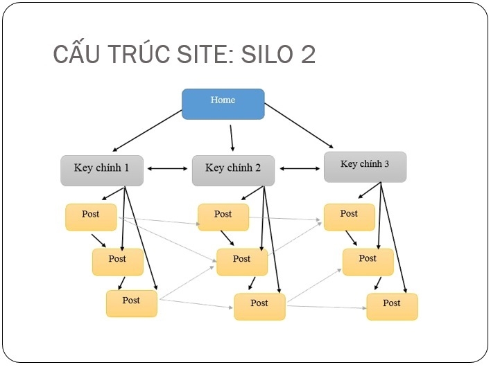 Cấu Trúc Silo Là Gì? Tìm Hiểu Về Cấu Trúc Silo Là Gì?