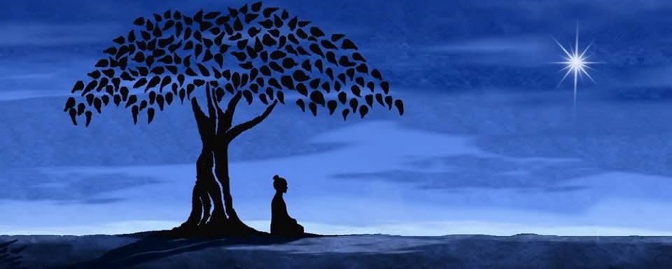 Cây Bồ Đề Là Gì? Cây Bồ Đề Là Gì?