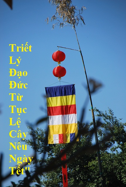 Nêu Là Cây Gì? Tìm Hiểu Về Nêu Là Cây Gì?