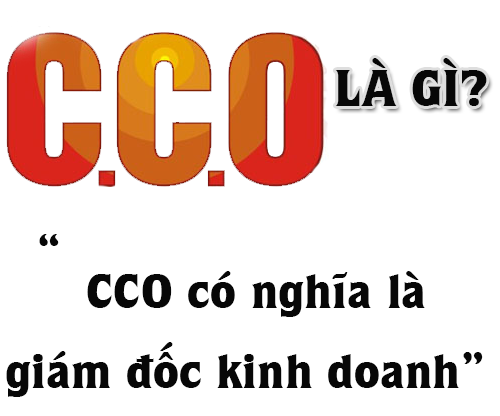 CCO Là Gì? Khái Niệm CCO Là Gi?