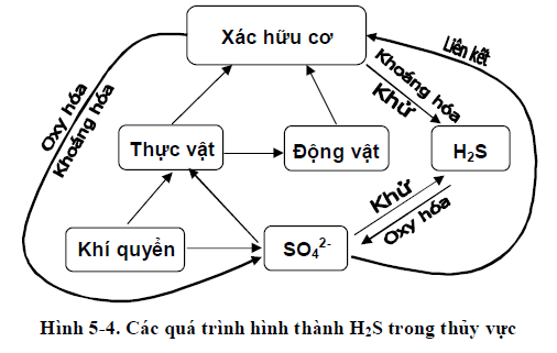 Chất Khử Là Gì? Tìm Hiểu Về Chất Khử Là Gì?
