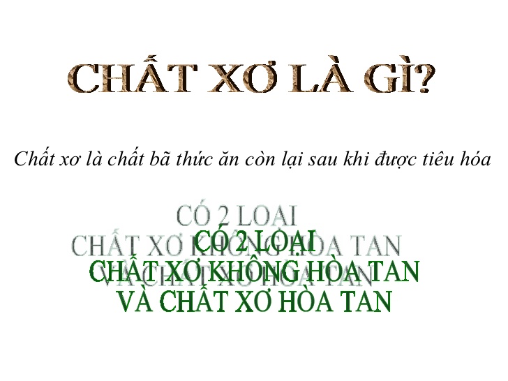 Chất xơ là gì và vai trò chất xơ với sức khỏe con người?