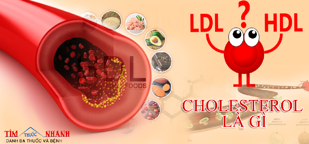 Cholesterol Là Gì? Tìm Hiểu Về  Cholesterol Là Gì?
