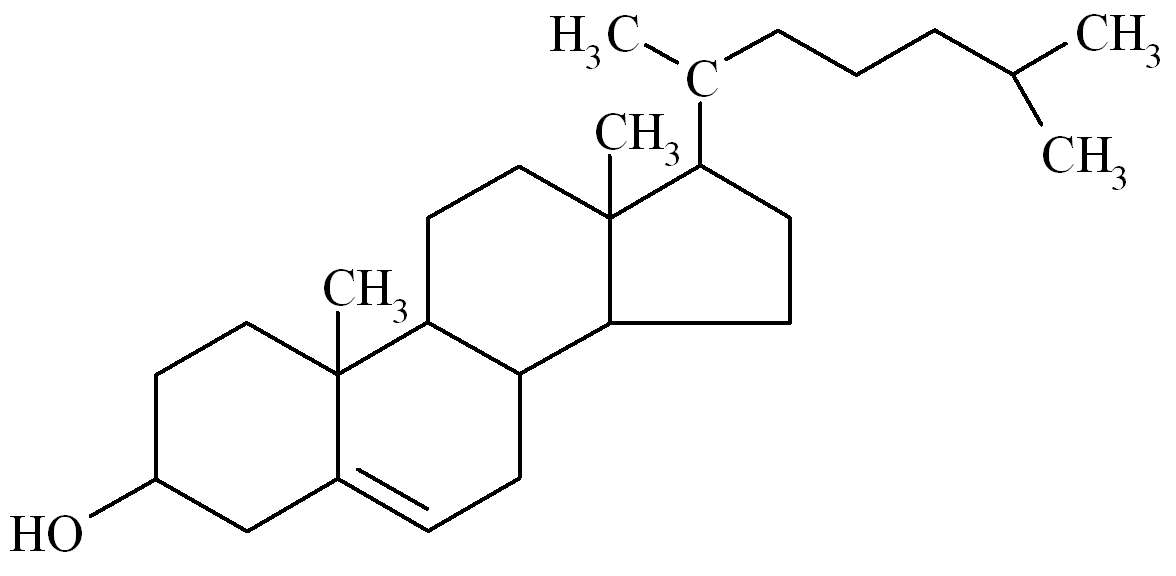Cholesterol Là Gì? Tìm Hiểu Về  Cholesterol Là Gì?
