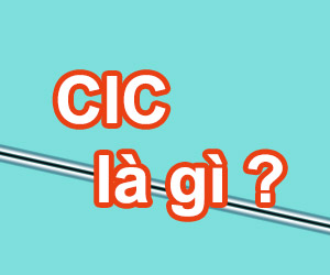 Phí CIC Là Gì? Tìm Hiểu Về Phí CIC Là Gì?