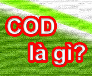 Dịch Vụ Ship Hàng COD Là Gì? Tìm Hiểu Về Dịch Vụ Ship Hàng COD Là Gì?