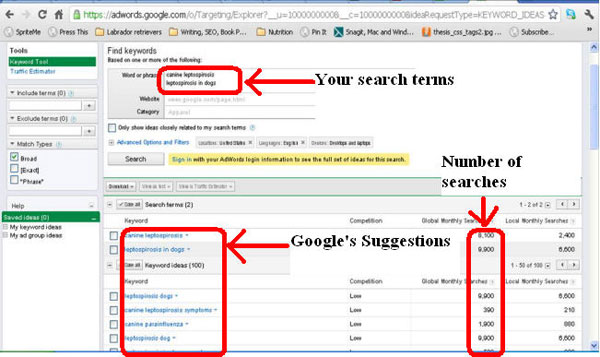 Những Công Cụ Cần Thiết Cho Bạn Khi Làm SEO