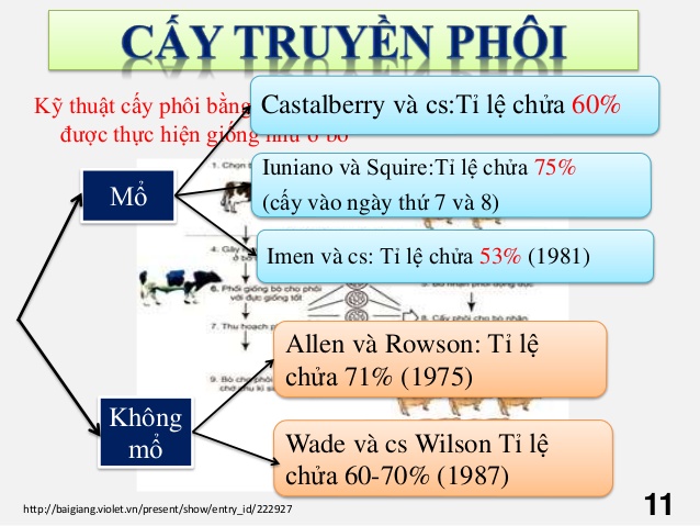 Công nghệ cấy truyền phôi là gì và nó có những lợi ích gì?
