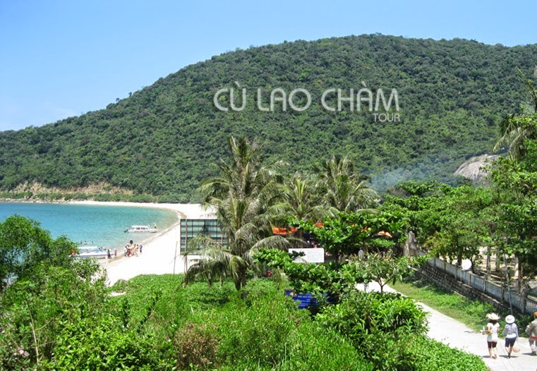 Cù Lao Chàm Là Gì? Tìm Hiểu Về Cù Lao Chàm Là Gì?