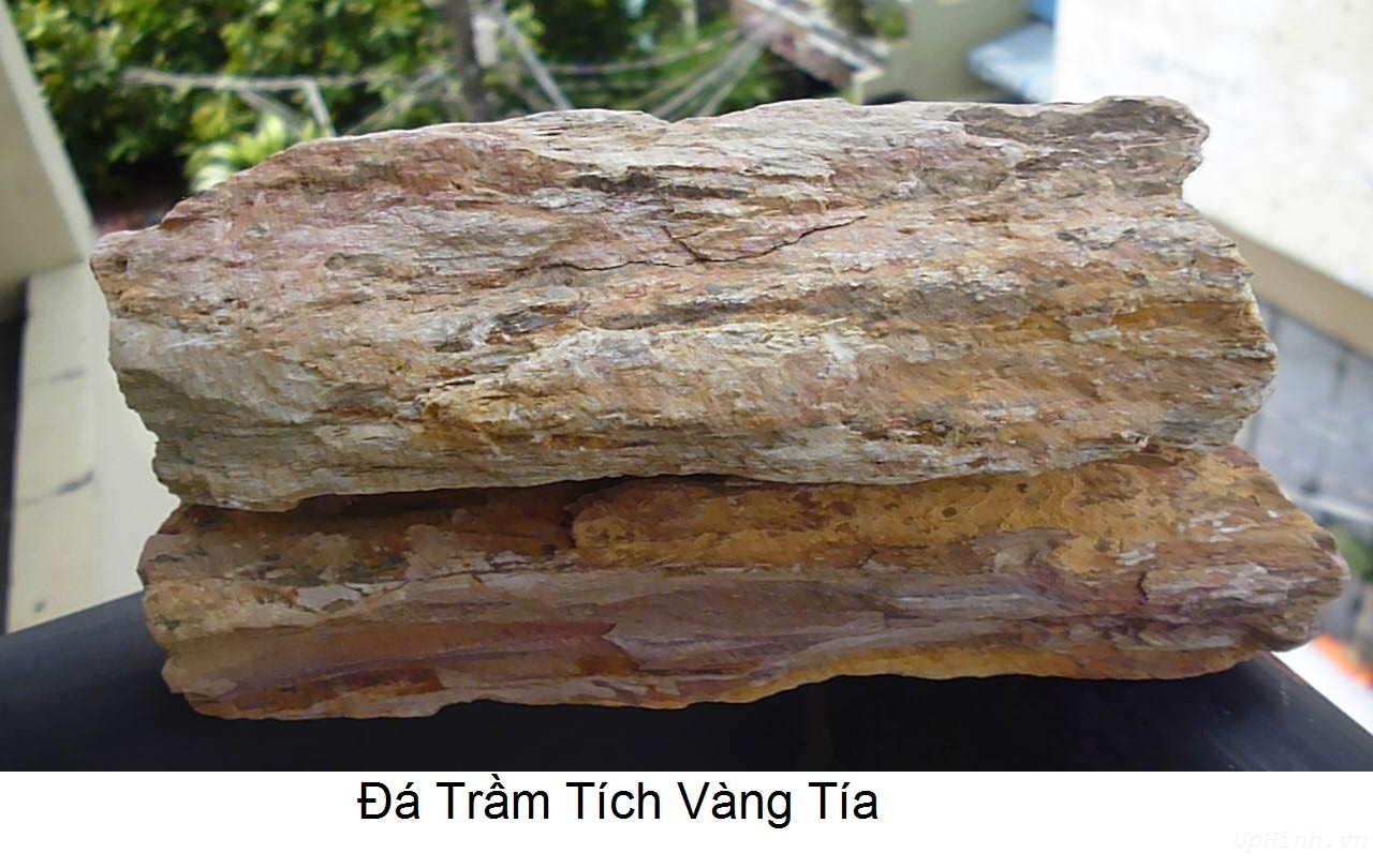 Đá trầm tích là gì và loại đá trầm tích phổ biến hiện nay?