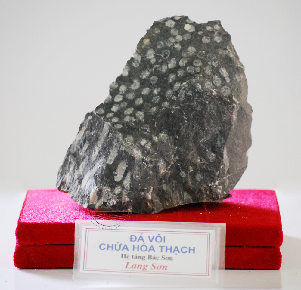 Đá vôi là gì? Các cách sử dụng đá vôi như thế nào?