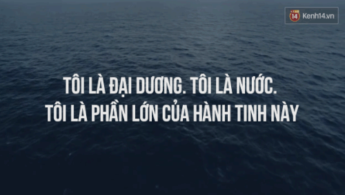 Đại dương là gì và sự hình thành phát triển đại dương?