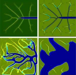 Đầm Lầy Là Gi? Tìm Hiểu Về Đầm Lầy Là Gi?