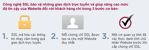 SSL Là Gì? Tìm Hiểu Về SSL Là Gì?