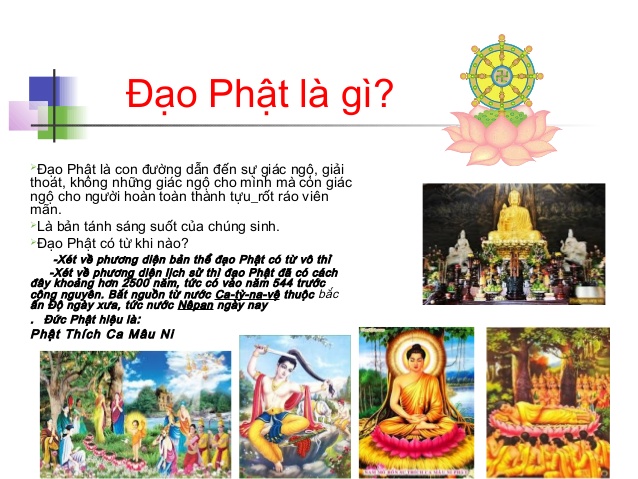 Phật Giáo là gì và nguồn gốc sự ra đời phát triển Phật Giáo?