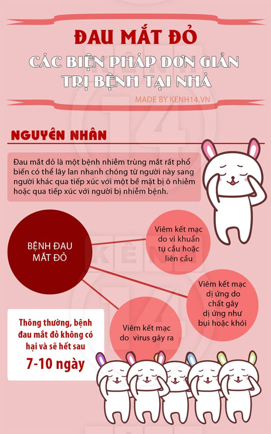 Đau Mắt Đỏ Là Gì? Tìm Hiểu Về Đau Mắt Đỏ Là Gì?