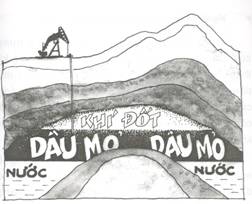 Dầu Mỏ Là Gì? Tìm Hiểu Về Dầu Mỏ Là Gì?