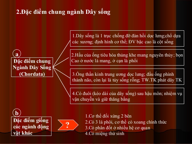 Dây Sống Là Gì? Tìm Hiểu Về Dây Sống Là Gì?