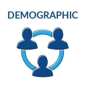 Demographics Là Gì? Tìm Hiểu Về Demographics Là Gì?
