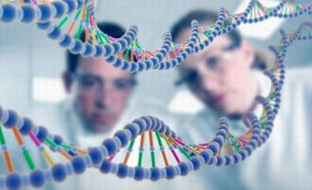 Di Truyền Học Là Gì? Vai trò của Di truyền học là gì?